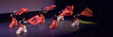 Xia Quan Kung Fu Flags